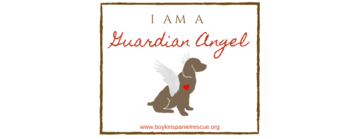 Guardian Angel Program